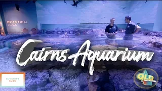 Cairns Aquarium | QLD Weekender (2018) S1E38