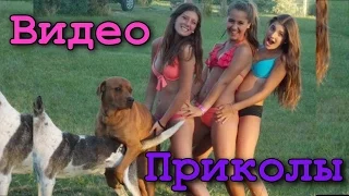 Видео Приколы FanLIKE ★ Best Funny Videos ★ Лучшая подборка март 2016 | выпуск # 13 |