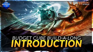 Building An MTG Cube On A Budget - Introduction To The Project!