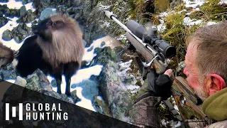 Hunting Bull Tahr in New Zealand's Southern Alps  |  Element Optics Global Hunting, S1E1