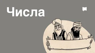 Обзор: Числа