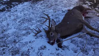 Idaho Whitetail Hunt 2022