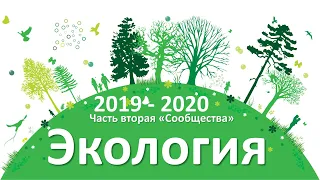 18. Экология часть II (9 или 10-11 класс) - биология, подготовка к ЕГЭ и ОГЭ 2020