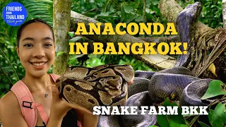 Would You Dare Visit snake farm in Bangkok? Scary or Fun?