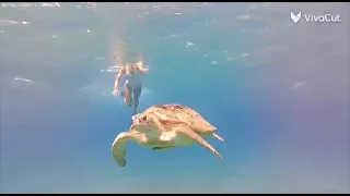 Snorkeling in Marsa Alam Abu Dubbab Egypt with Sea Lovers Tours