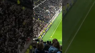 Newcastle fans After 2-1 vs Tottenham