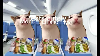 POV:cats on a plane (funny) thanks for 60 subs!