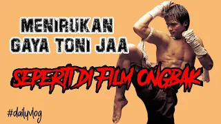 LATIHAN MUAY THAI UNTUK PEMULA || Menirukan gaya toni jaa