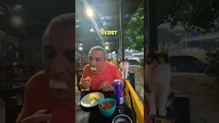 Stray cat politely asks for food 🍲🐈