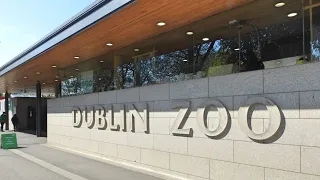 Ирландия 🇮🇪 наша семейная прогулка по DUBLIN ZOO - ДУБЛИНСКИЙ ЗООПАРК, #ирландия #дублин #украинцы