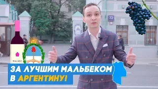 Вино из Мальбека - неотъемлемая часть культуры Аргентины!