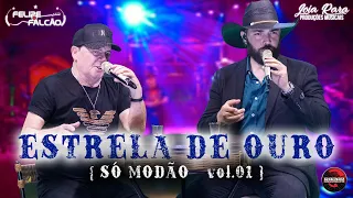 Felipe e Falcão  - Estrela de Ouro (DVD SÓ MODÃO VOL. 01)