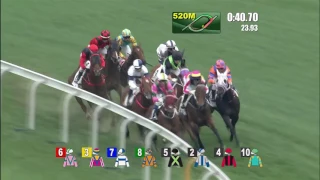 Magic Legend Hong Kong Champion Horse is waiting for Magic Joao Moreira Part.3