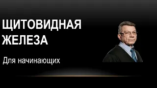 Ультразвуковая  анатомия  и эхоструктурные изменения щитовидной железы