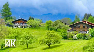 Switzerland 4K🇨🇭Gsteigwiler, a beautiful village on the way to Lauterbrunnen valley