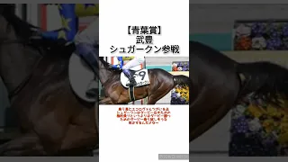 【青葉賞】武豊がダービー出走熱望のシュガークン参戦　 #競馬