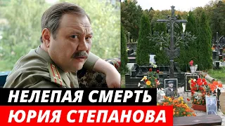 Погиб в 42 года! Трагическая судьба и нелепая гибель актера Юрия Степанова