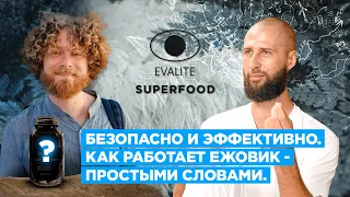 Как работает Ежовик Гребенчатый? Механизм действия.