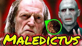 Diese Harry Potter Theorie ändert dein Bild vom Filch für immer!