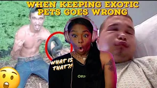 When Keeping Exotic Pets Goes Wrong {Reaction} | ImStillAsia