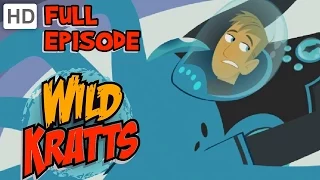 Wild Kratts - Whale of a Squid (HD - Full Episode)