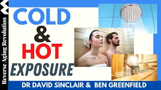 Cold & Hot Exposure For Healthy Aging | Dr David Sinclair & Ben Greenfield Clips