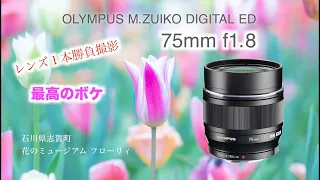 OLYMPUS M.ZUIKO DIGITAL ED 75mm f1.8「レンズ1本勝負撮影」花のミュージアムフローリィ