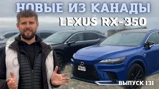 Новые Lexus RX 350 2023. Большой выпуск. Авто из Канады. Обзор RX 350. Master Vadya.