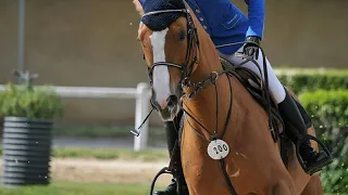 ~ Equestrian Sport ~ Showjumping ~ Dressage ~ Конный спорт ~Конкур ~ Выездка ~ Rockabye ~