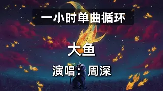 🔷一小时单曲循环🔷【大鱼 周深】|热门歌曲|抖音歌曲|抖音音乐|kkbox|动态歌词Lyrics