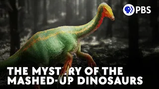 The Mystery Of The Mashed-Up Dinosaurs