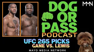 UFC 265 Picks, Bets, Predictions | Gane vs Lewis Fight Previews & UFC 265 DraftKings Picks