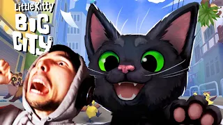 BEST CAT SIMULATOR EVER MADE!! | Little Kitty Big City