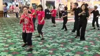 World Tai Chi Day 2015 Kahala Mall by everydaytaichi lucy Honolulu, Hawaii