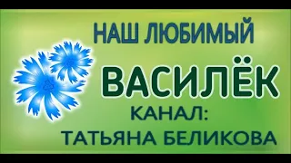 И снова нас радует наш Любимый Василек.