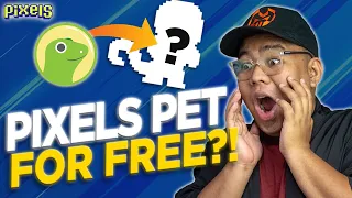 COINGECKO x PIXELS PET GIVEAWAY?! | PIXELS - PLAY TO EARN