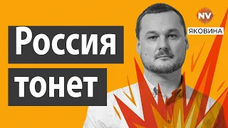 Мыши и бобры обрушили дамбу в РФ | Яковина