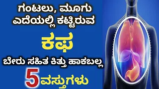 ಕಟ್ಟಿಕೊಂಡಿರುವ ಕಫ ಕರಗಿಸುಲು 5 ಉತ್ತಮ ಪರಿಹಾರ | Health tips