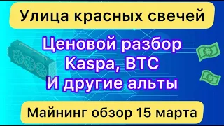 КРАСНЫЕ СВЕЧИ ❗️ KASPA, BTC И ДРУГИЕ АЛЬТЫ // МАЙНИНГ ОБЗОР 15 МАРТА