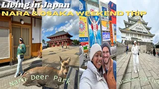 LIVING IN JAPAN ⛩️ Teaching English In Japan | Nara Deer Park, Osaka Castle, Dotonbori & Street Food