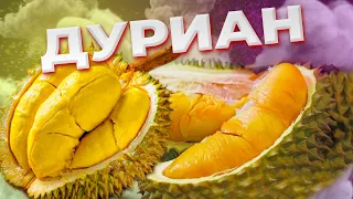 Король фруктов - дуриан во Вьетнаме