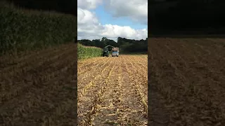 Chopping corn 2017