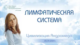 Лимфатическая система