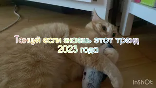 📞ТАНЦУЙ ЕСЛИ ЗНАЕШЬ ЭТОТ ТРЕНД📞/ТРЕНДЫ ТИК ТОК❔