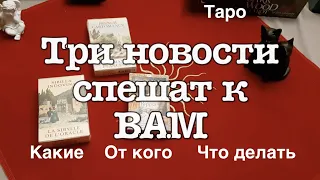 Таро.🔔Какие ТРИ новости спешат к Вам /Таро онлайн?расклад Таро