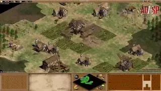 Tutorial Para principiantes Age of empire 2 Todo lo que necesitas para ser competitivo