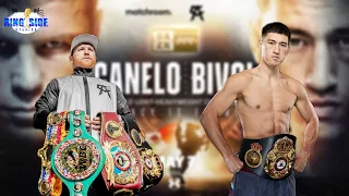 Dmitry Bivol Highlights: Watch This Before Canelo vs Bivol