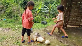 FULL VIEO 30 Days : Two poor children picked fruits and vegetables to sell to make ends meet