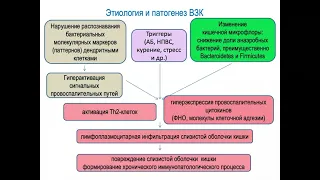 Воспалительные заболевания кишечника, лекция для студентов 5 курса