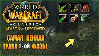 World of Warcraft :Season of Discovery ► САМАЯ ЦЕННАЯ ТРАВА в 1-ой ФАЗЕ ( WoW:SoD , Гайд )